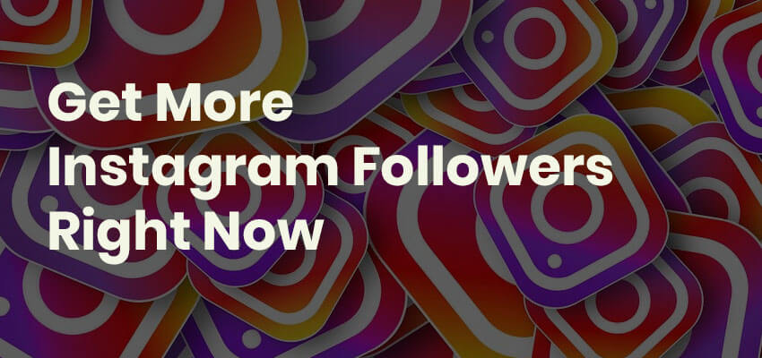 How to get more followers on Instagram in 2023? - DigitaloTech